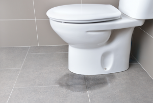 Toilet leaking Repair & Installation In Cincinatti, OH