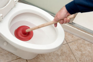 professional toilet services in the Greater Cincinnati & Northern KY area