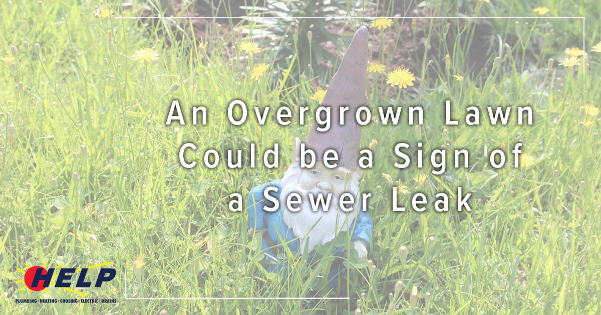 An Overgrown Lawn Could be a Sign of a Sewer Line Leak.