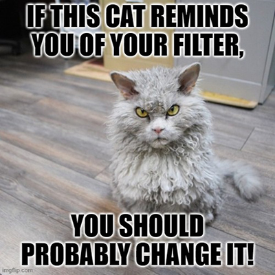 Image: Air Filter Cat Meme.
