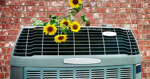 Image: a condenser against a brick wall with sunflowers on it. Regular maintenance of your AC system means you'll be on top of any issues.