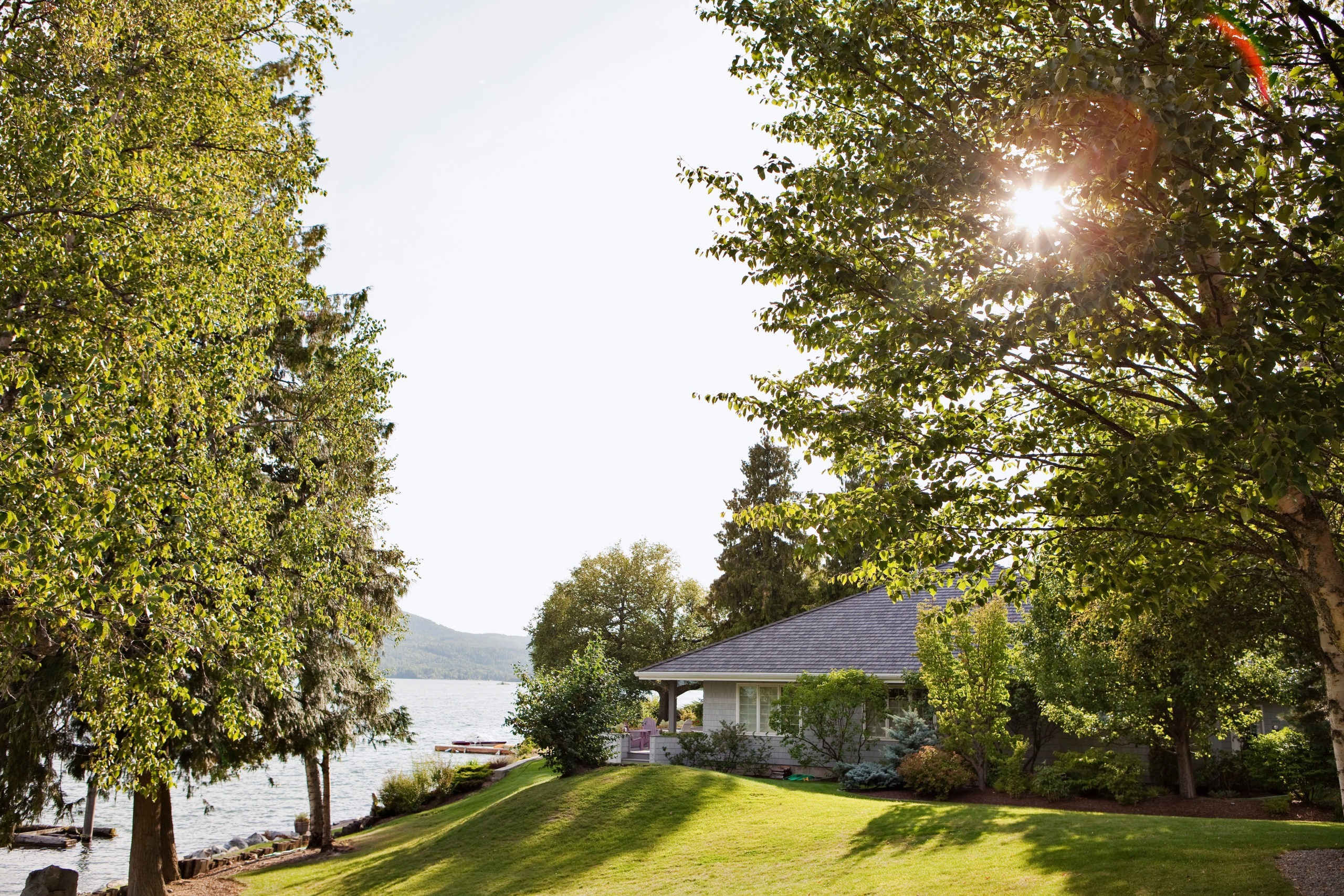 home kept cool and insulated by shade trees and shrubs