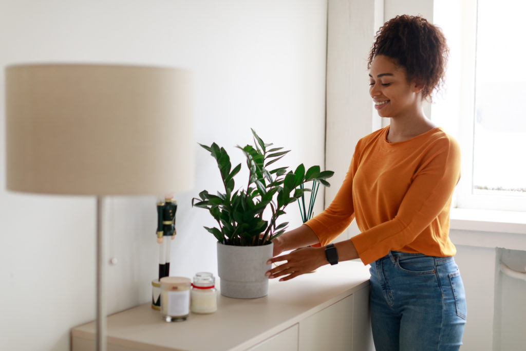 woman place her plant near light