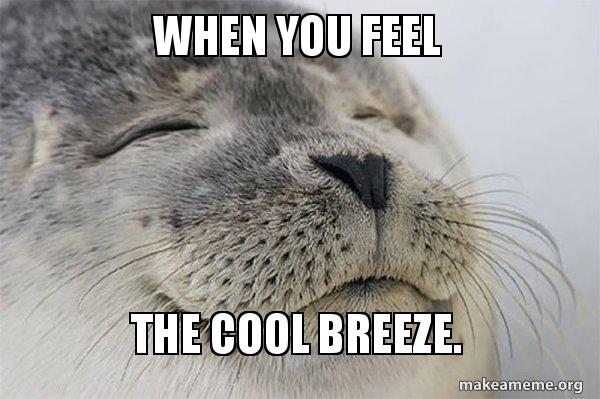 fresh breeze meme
