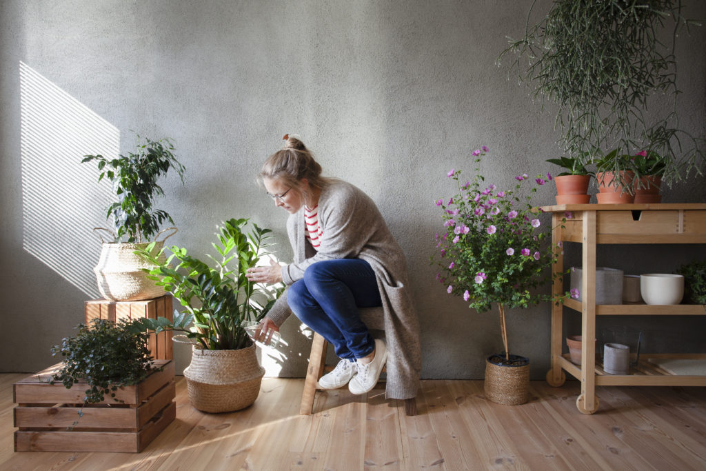 woman water her plants