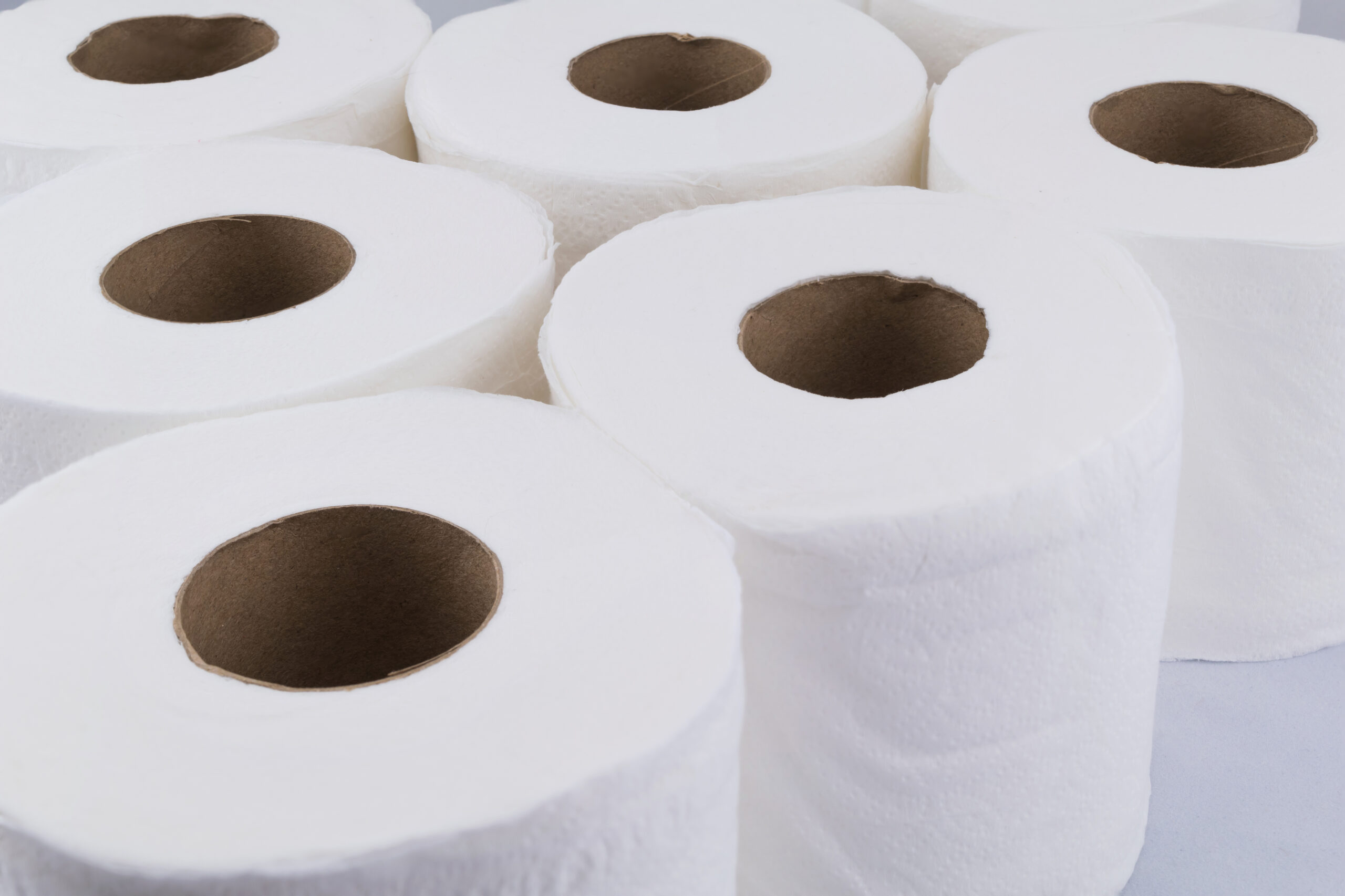 toilet paper clogs drains