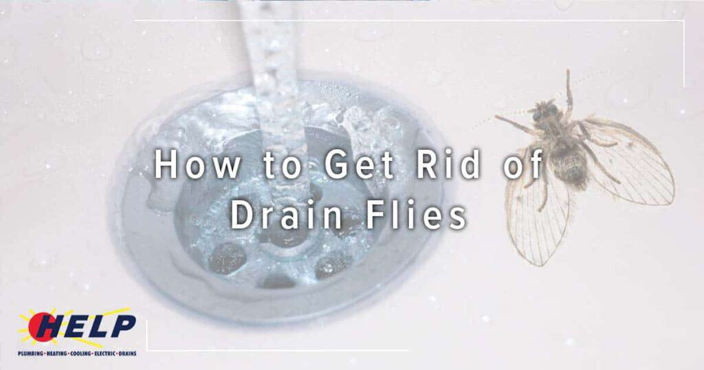Text "How to Get Rid of Drain Flies" overlaid on an image of a sink drain with water running and a close-up of a drain fly. As you prepare your home for warmer days, keep pests away too. Logo at bottom left.